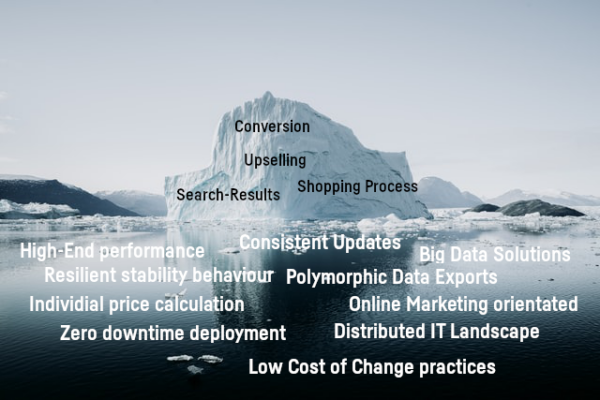 A Shopping Experience – Just the tip of an iceberg